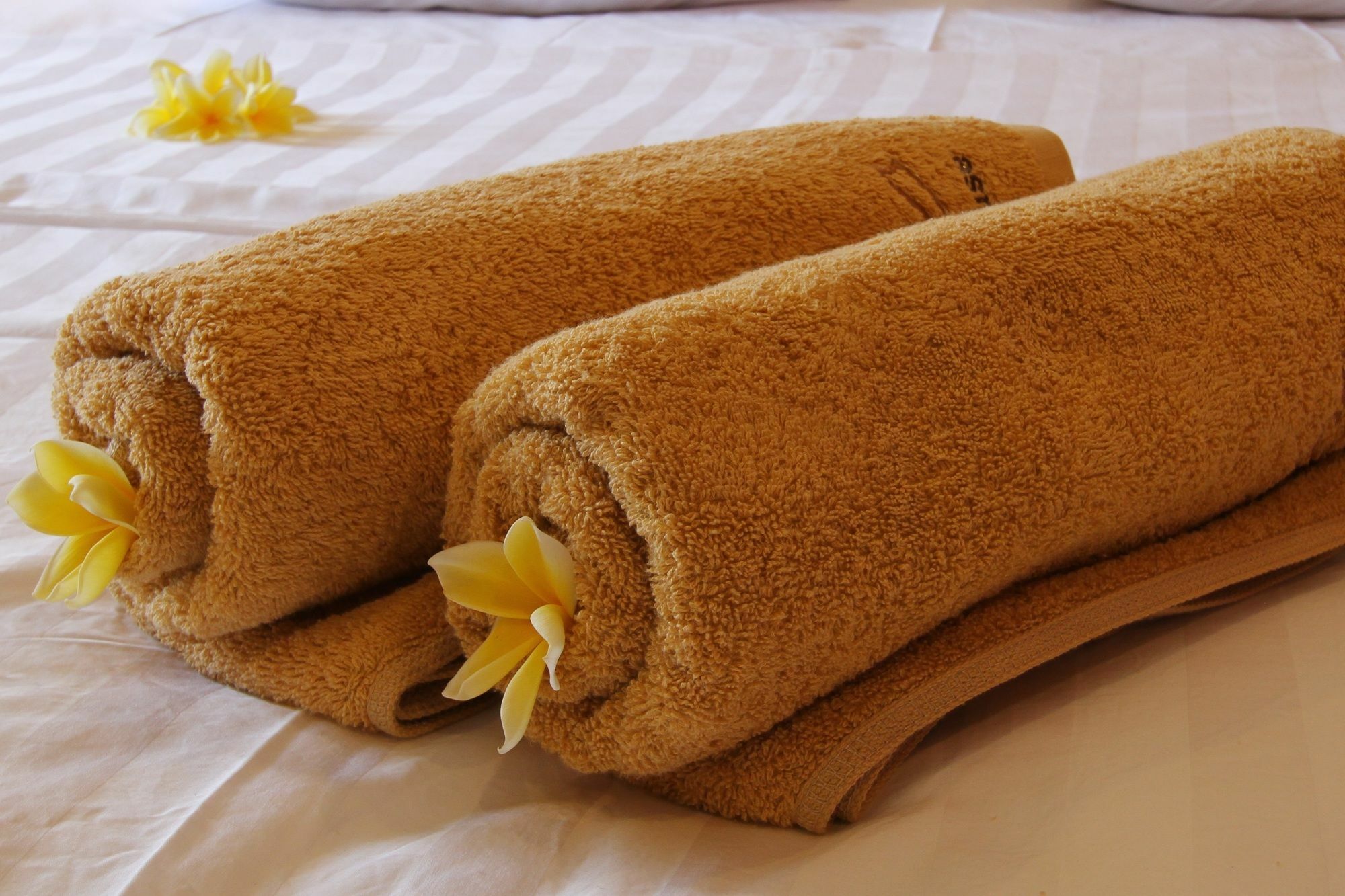 Saren Guest House Canggu Zewnętrze zdjęcie